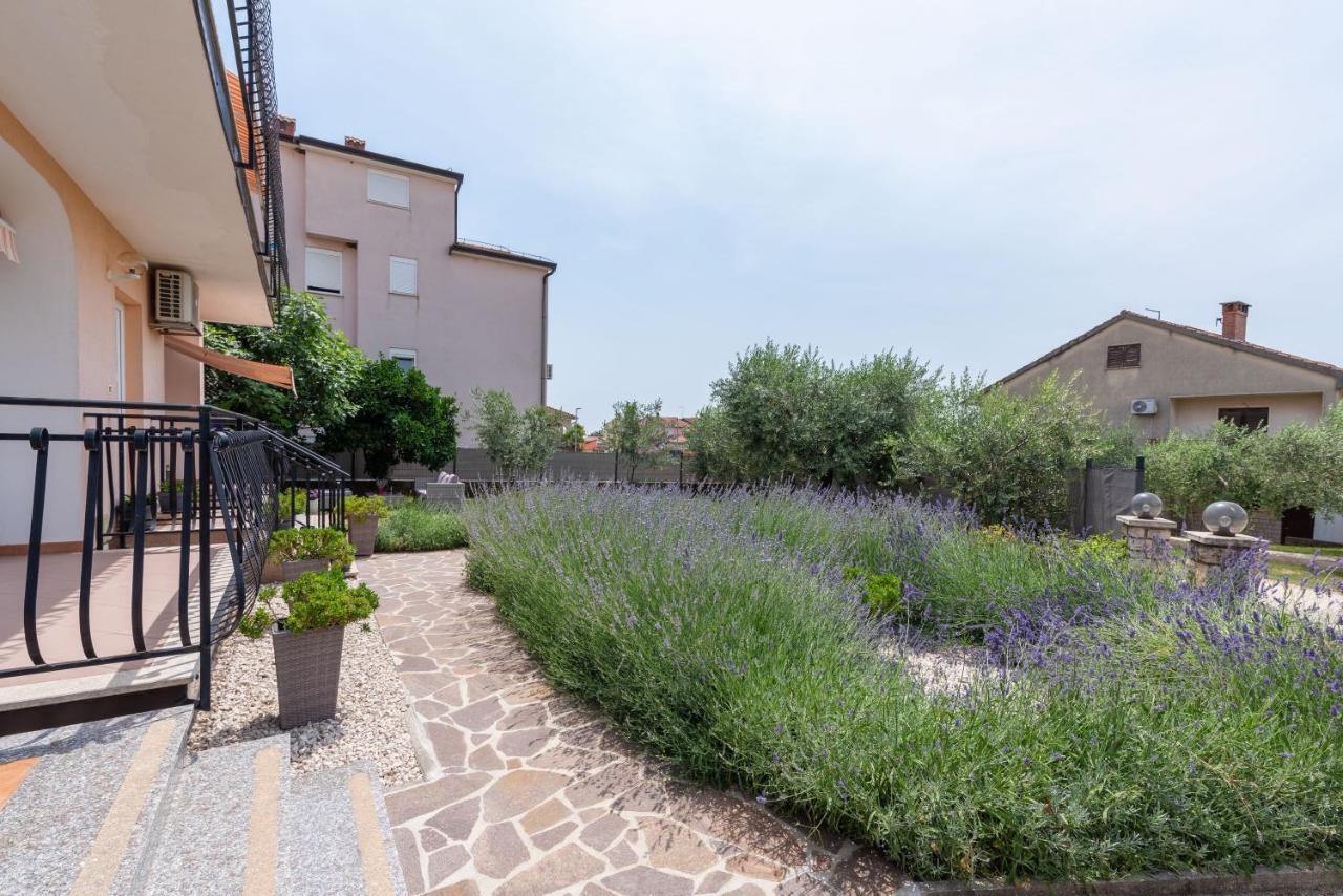 Apartment Masha Novigrad  Exterior photo